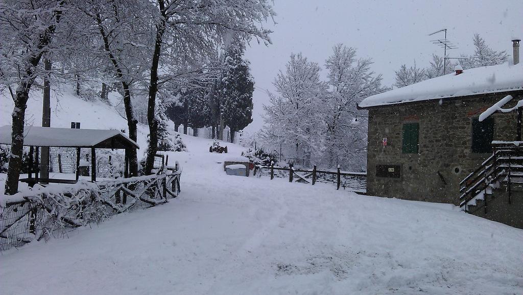 Podere Omomorto