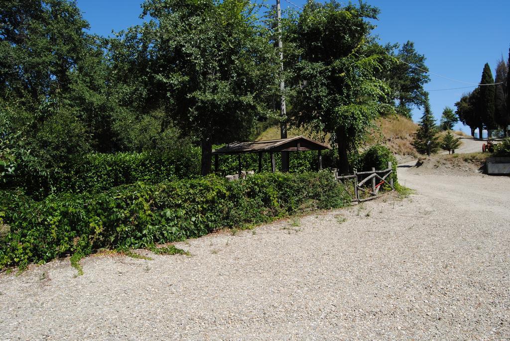 Bauernhof Podere Omomorto Pratovecchio