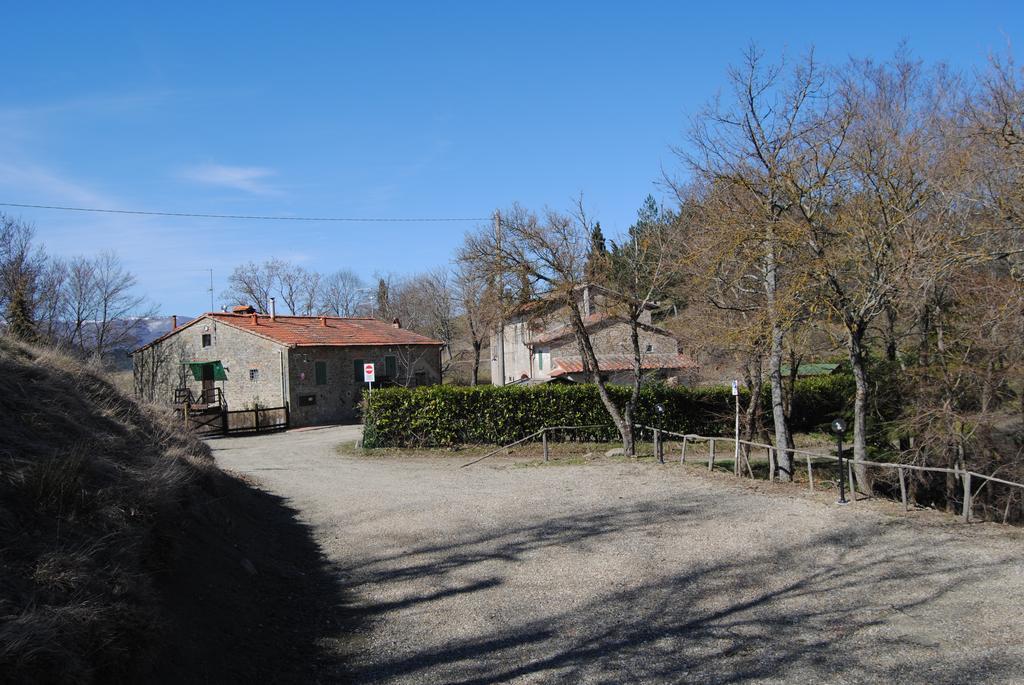 Podere Omomorto Pratovecchio