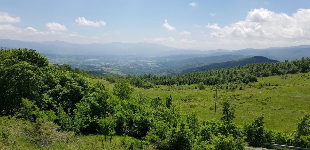 Podere Omomorto * Pratovecchio