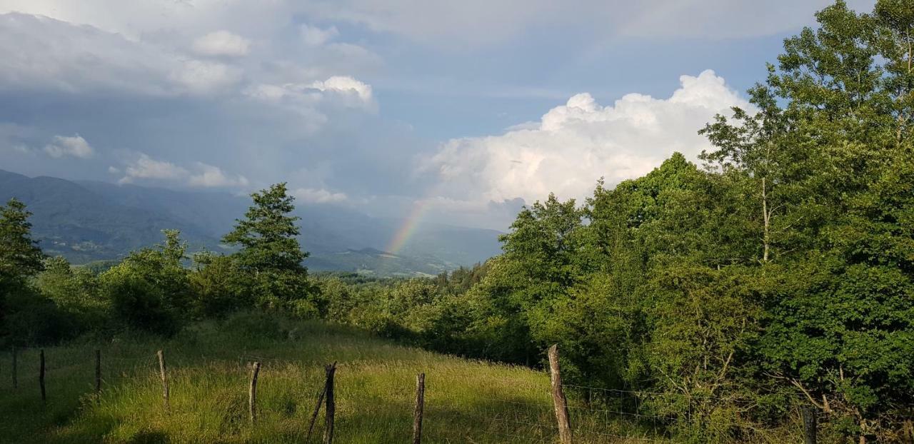 Agriturismo Podere Omomorto Pratovecchio